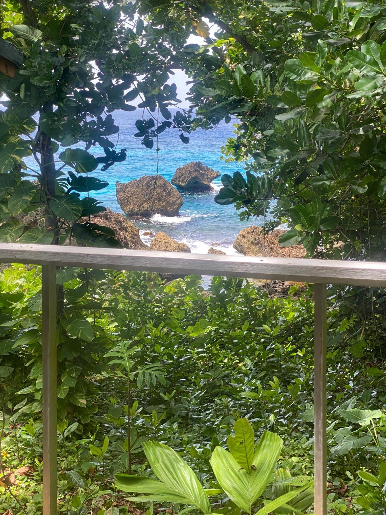 Frenchman'S Cove Resort Port Antonio Luaran gambar